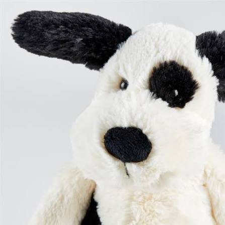 Rufferty Puppy